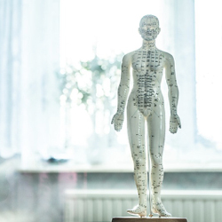 Article Psychologie sur l'empathie